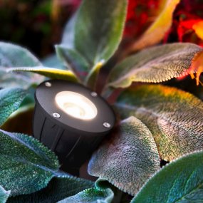 Luminius Gris oscuro De Lightson - Una l&aacute;mpara con un &aacute;ngulo de haz estrecho (15&deg;) ideal para &aacute;rboles donde se necesita resaltar el tronco o iluminar toda la copa, por ejemplo, pinos y abedules altos.