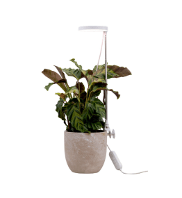 Lámpara Para Plantas Rose Blanco De Airam - La salida de luz se puede ajustar en cinco niveles usando un regulador de intensidad y se puede usar un temporizador para establecer la duraci&oacute;n de la iluminaci&oacute;n a 8/12/16 horas.