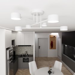 Halo Ø60 Blanco plafón De Emibig Lighting - Su forma esbelta y su metal con recubrimiento en polvo le dan a la l&aacute;mpara un aspecto &uacute;nico que se adapta perfectamente a los hogares modernos.