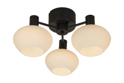 Bell Ø42 Negro plafón De Aneta Lighting - Techo realizado en metal lacado en negro con 3 cristales en color blanco opal sobre&aring; brazos fuertes.