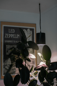 Lámpara Para Plantas Fiora Negro De Airam - La l&aacute;mpara cuenta con un reflector de alto brillo y una luz de cultivo LED que proporciona una luz agradable para los ojos mientras estimula a sus plantas para que crezcan mejor y m&aacute;s r&aacute;pido.