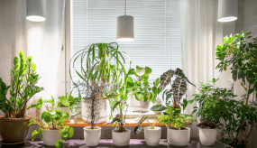 Lámpara Para Plantas Fiora Blanco De Airam - La l&aacute;mpara cuenta con un reflector de alto brillo y una luz de cultivo LED que proporciona una luz agradable para los ojos mientras estimula a sus plantas para que crezcan mejor y m&aacute;s r&aacute;pido.