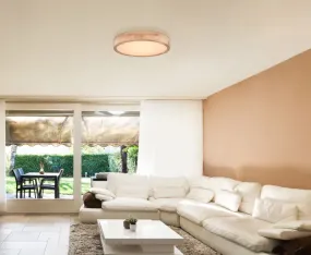 Rainer Ø40 Naturaleza plafón De Globo Lighting - Lampan har &auml;ven en f&auml;rgv&auml;xlingsfunktion med m&ouml;jlighet att fixera en vald f&auml;rg, vilket g&ouml;r den b&aring;de flexibel och funktionell.