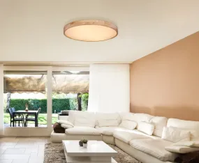 Rainer Ø80 Naturaleza plafón De Globo Lighting - Lampan har &auml;ven en f&auml;rgv&auml;xlingsfunktion med m&ouml;jlighet att fixera en vald f&auml;rg, vilket g&ouml;r den b&aring;de flexibel och funktionell.