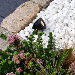 Luminus Negro De Lightson - Una l&aacute;mpara con una distribuci&oacute;n de luz estrecha, adecuada para &aacute;rboles en los que se desea resaltar el tronco o donde la luz debe llegar hasta la copa, por ejemplo pinos altos y abedules.