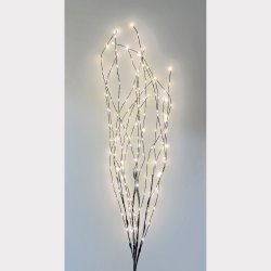 Twiggy Negro De Lightson - Esto permite una mayor flexibilidad si quieres tenerlos en un macizo de flores o quiz&aacute;s en una maceta en el patio, por ejemplo.