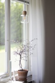 DOT Ø10 Transparente lámpara de ventana De Globen Lighting - El característico pomo de madera contrasta con la pantalla de vidrio y le da carácter.