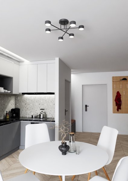 Halo Ø60 Negro plafón De Emibig Lighting - Su forma esbelta y su metal con recubrimiento en polvo le dan a la lámpara un aspecto único que se adapta perfectamente a los hogares modernos.