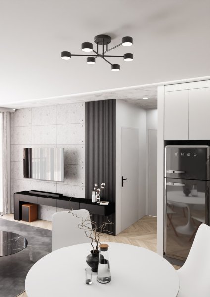 Halo Ø60 Negro plafón De Emibig Lighting - Su forma esbelta y su metal con recubrimiento en polvo le dan a la lámpara un aspecto único que se adapta perfectamente a los hogares modernos.