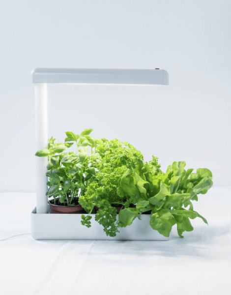 Lámpara Para Plantas Herby Blanco De Airam - Sin embargo, si el agua de riego gotea desde las macetas al recipiente, el exceso de agua se puede verter simplemente en el fondo y lavar el recipiente.