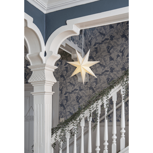 Plain Ø45 Blanco De Star Trading - 