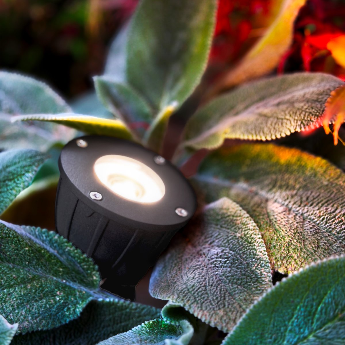 Luminius Gris oscuro De Lightson - Una l&aacute;mpara con un &aacute;ngulo de haz estrecho (15&deg;) ideal para &aacute;rboles donde se necesita resaltar el tronco o iluminar toda la copa, por ejemplo, pinos y abedules altos.