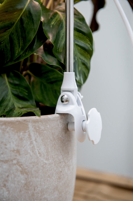 Lámpara Para Plantas Rose Blanco De Airam - La salida de luz se puede ajustar en cinco niveles usando un regulador de intensidad y se puede usar un temporizador para establecer la duraci&oacute;n de la iluminaci&oacute;n a 8/12/16 horas.