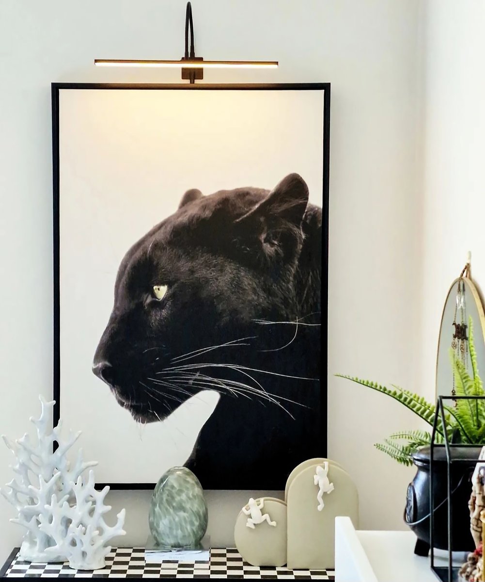 Miro 40cm Negro De Aneta Lighting - Miro tiene un LED integrado que se puede ajustar mediante un regulador de intensidad en el cable, aproximadamente a un metro de la base de la lámpara.