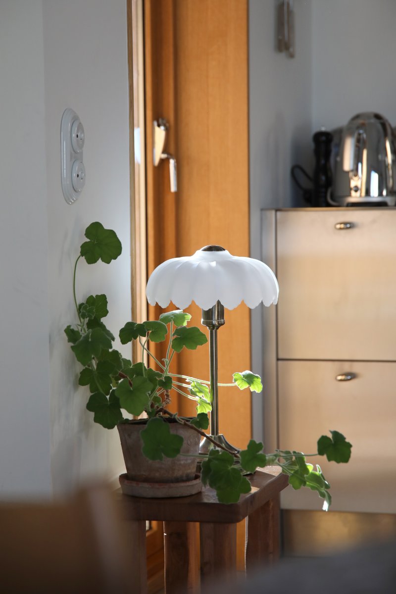 Kurage 43cm Latón antiguo/blanco lámpara de mesa De Markslöjd - L&aacute;mpara de mesa cl&aacute;sica con base de lat&oacute;n antiguo y pantalla decorativa de cristal opalino blanco.