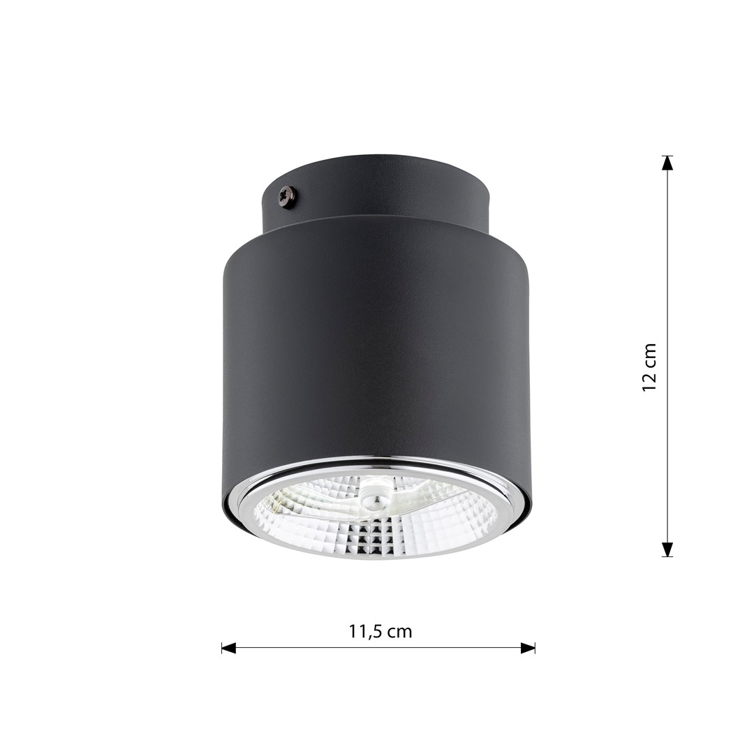 Nano Negro foco de techo De Emibig Lighting - Con fuentes de luz enfocadas, esta lámpara de techo ofrece funcionalidad en una presentación elegante.