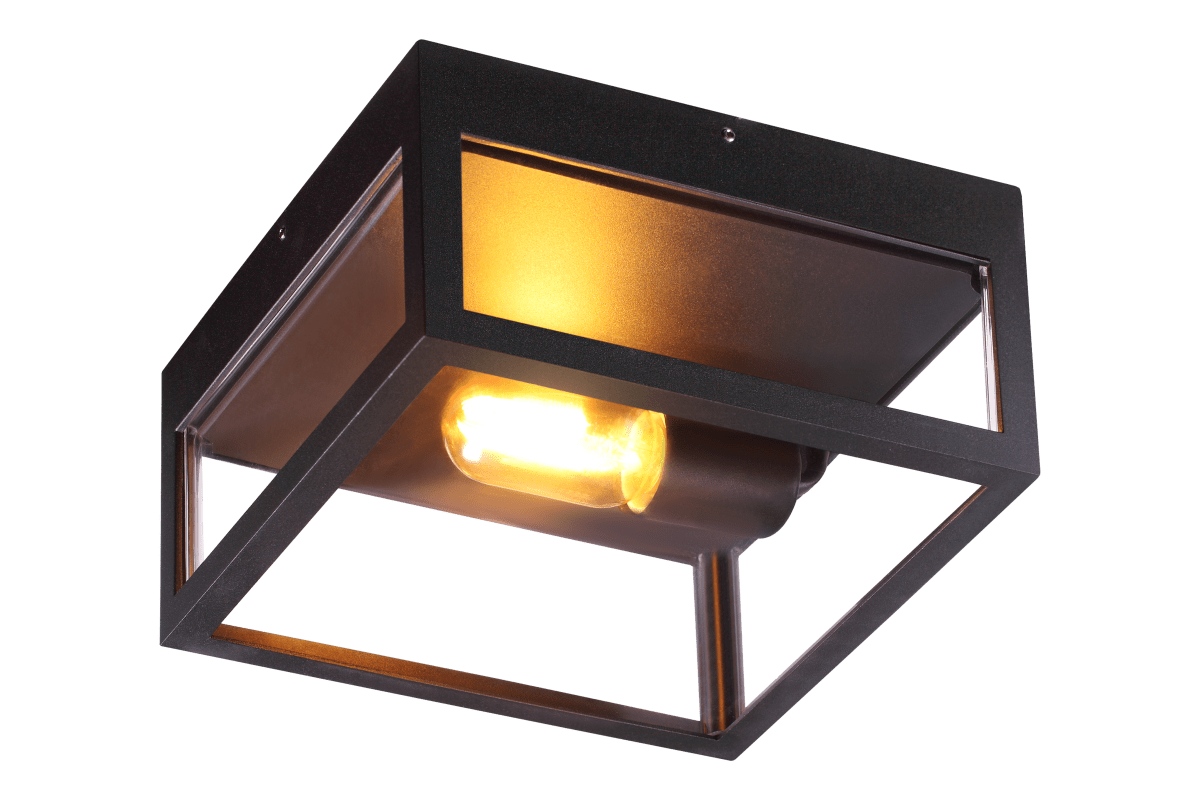 Arendal Negro De Aneta Lighting - Plafón de exterior Arendal fabricado en aluminio de color negro con cubierta de plástico transparente.