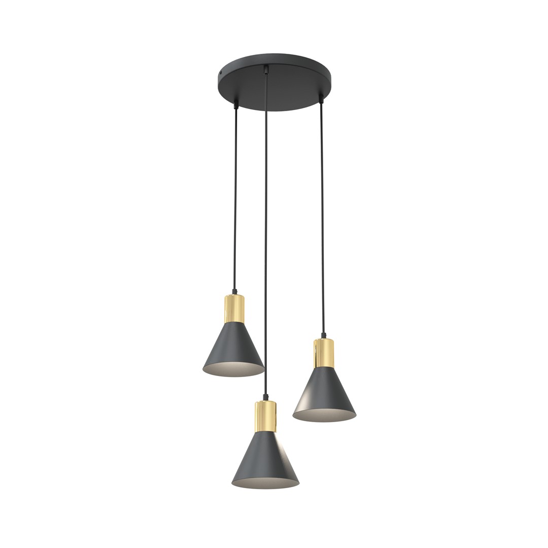Rosa Ø30 Negro Lámpas de techo De Emibig Lighting - Perfecto para salas de estar, comedores o cocinas, el rosa crea una atm&oacute;sfera &uacute;nica en la habitaci&oacute;n al combinar la rugosidad del metal con la sutil elegancia de un acento dorado.