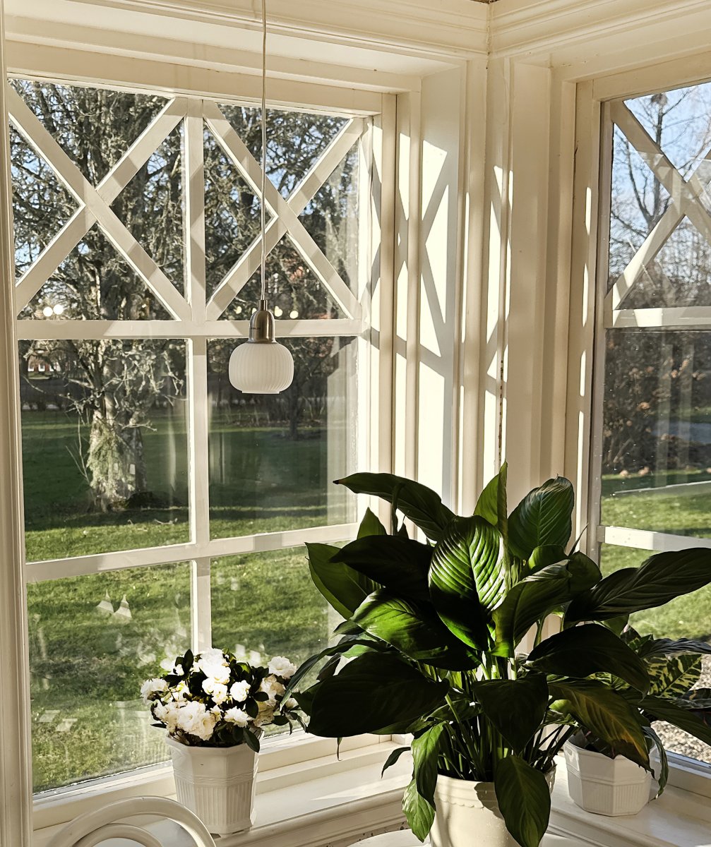 Elin Ø10 Acero lámpara de ventana De Aneta Lighting - L&aacute;mpara de ventana Elin realizada en acero con pantalla blanca de cristal acanalado.