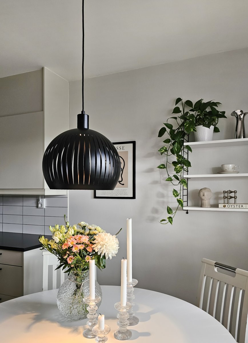 Grafika Ø30 Negro Lámpas de techo De Aneta Lighting - Marquesina de techo de plástico para suspensión con gancho, con bloque de terminales y enchufe de lámpara montable.
