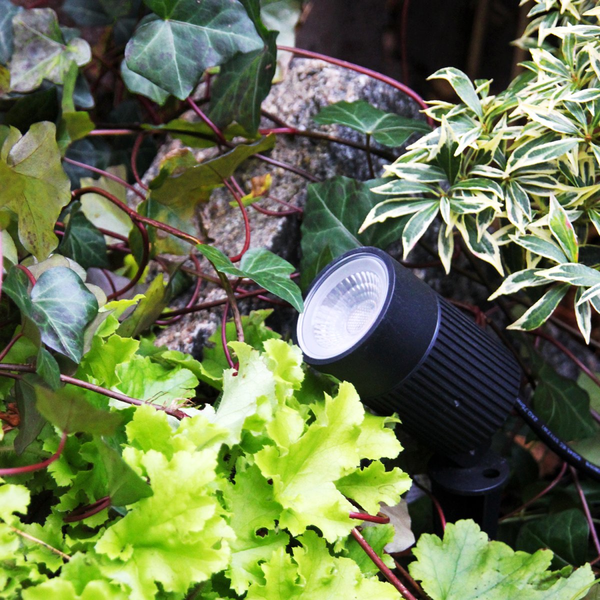 Medusa Negro De Lightson - Medusa es un potente foco de suelo con una amplia distribución de la luz, adecuado para árboles de tamaño mediano a grande.