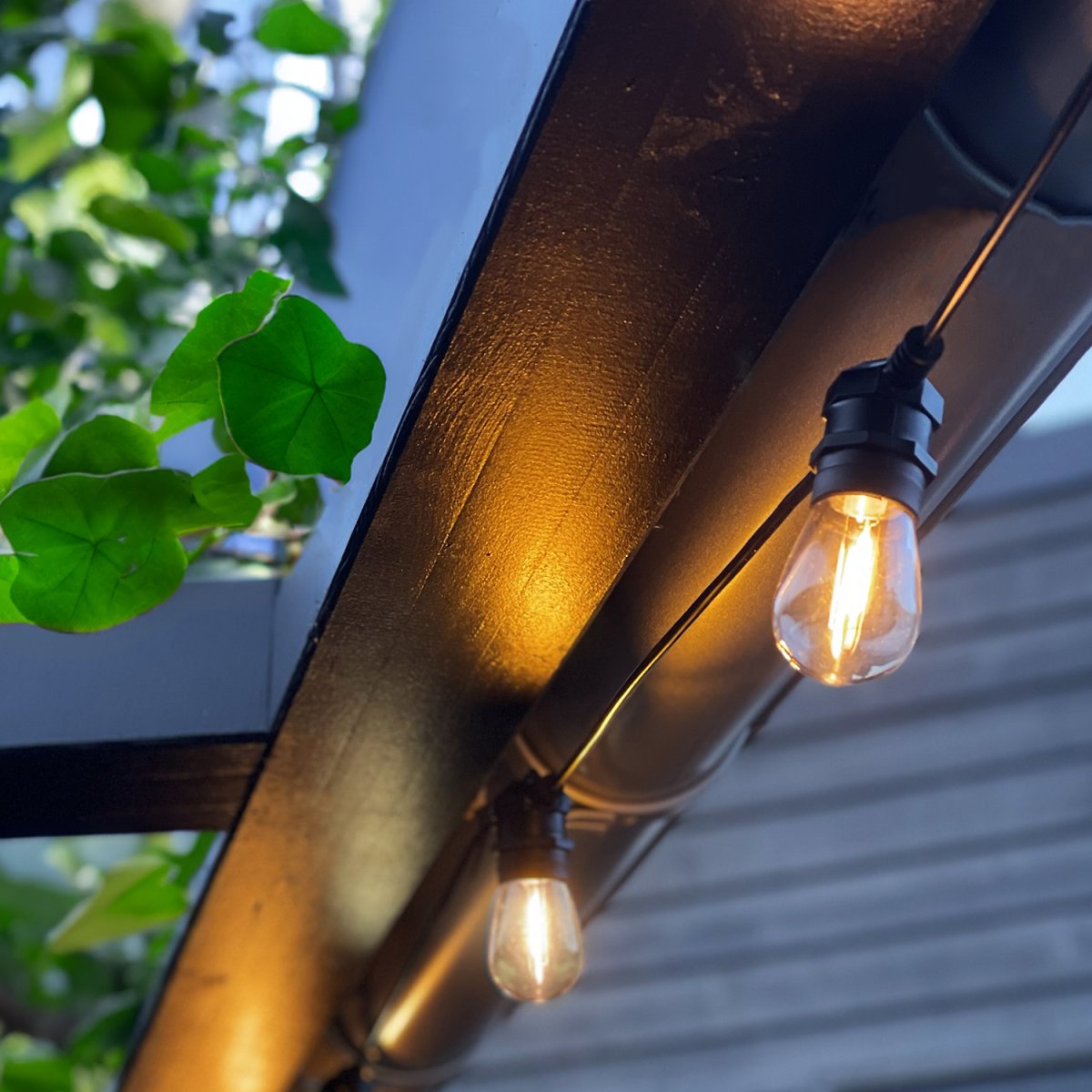 Cozy Start 5m Negro De Lightson - El bucle tiene una longitud de 5 m y est&aacute; equipado con 10 fuentes de luz intercambiables + cable de conexi&oacute;n de 5 m y transformador.