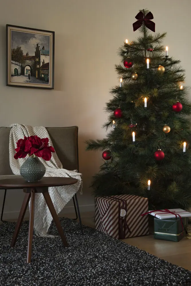 Luces Para Árbol De Navidad Blanco Cálido 25LED 18m Verde De Konstsmide - Iluminaci&oacute;n cl&aacute;sica de &aacute;rbol de Navidad para interiores con 25 luces LED de color blanco c&aacute;lido que proporcionan un brillo suave y atmosf&eacute;rico.