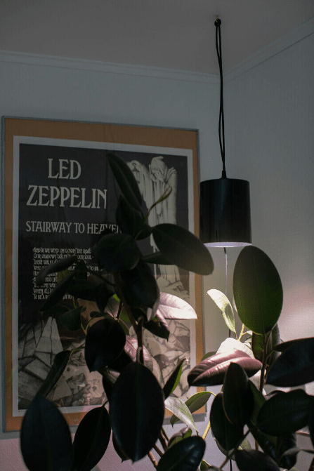 Lámpara Para Plantas Fiora Negro De Airam - La l&aacute;mpara cuenta con un reflector de alto brillo y una luz de cultivo LED que proporciona una luz agradable para los ojos mientras estimula a sus plantas para que crezcan mejor y m&aacute;s r&aacute;pido.