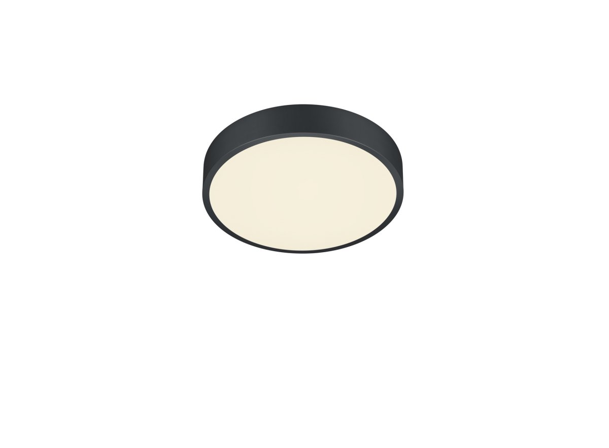 Waco Ø30 Negro plafón De Trio Lighting - 