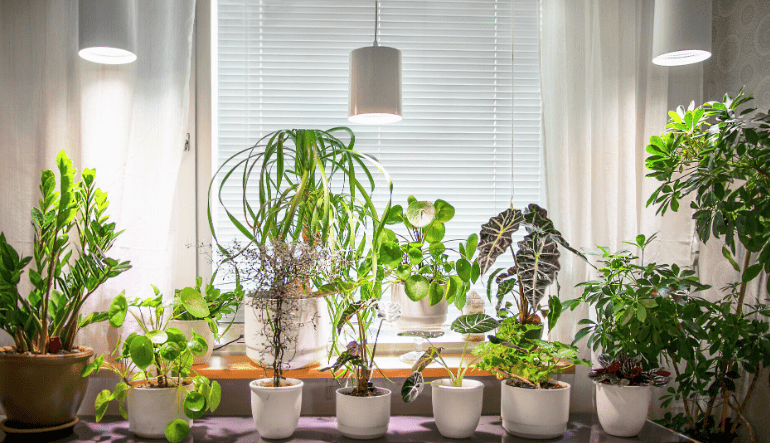 Lámpara Para Plantas Fiora Blanco De Airam - La l&aacute;mpara cuenta con un reflector de alto brillo y una luz de cultivo LED que proporciona una luz agradable para los ojos mientras estimula a sus plantas para que crezcan mejor y m&aacute;s r&aacute;pido.