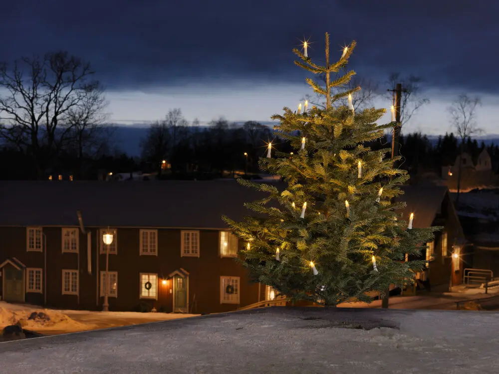 Luces Para Árbol De Navidad Blanco Cálido 16LED 12m Verde De Konstsmide - Iluminacion de &aacute;rbol de Navidad con 16 luces LED DC de color blanco c&aacute;lido para un &aacute;rbol cl&aacute;sico y atmosf&eacute;rico.