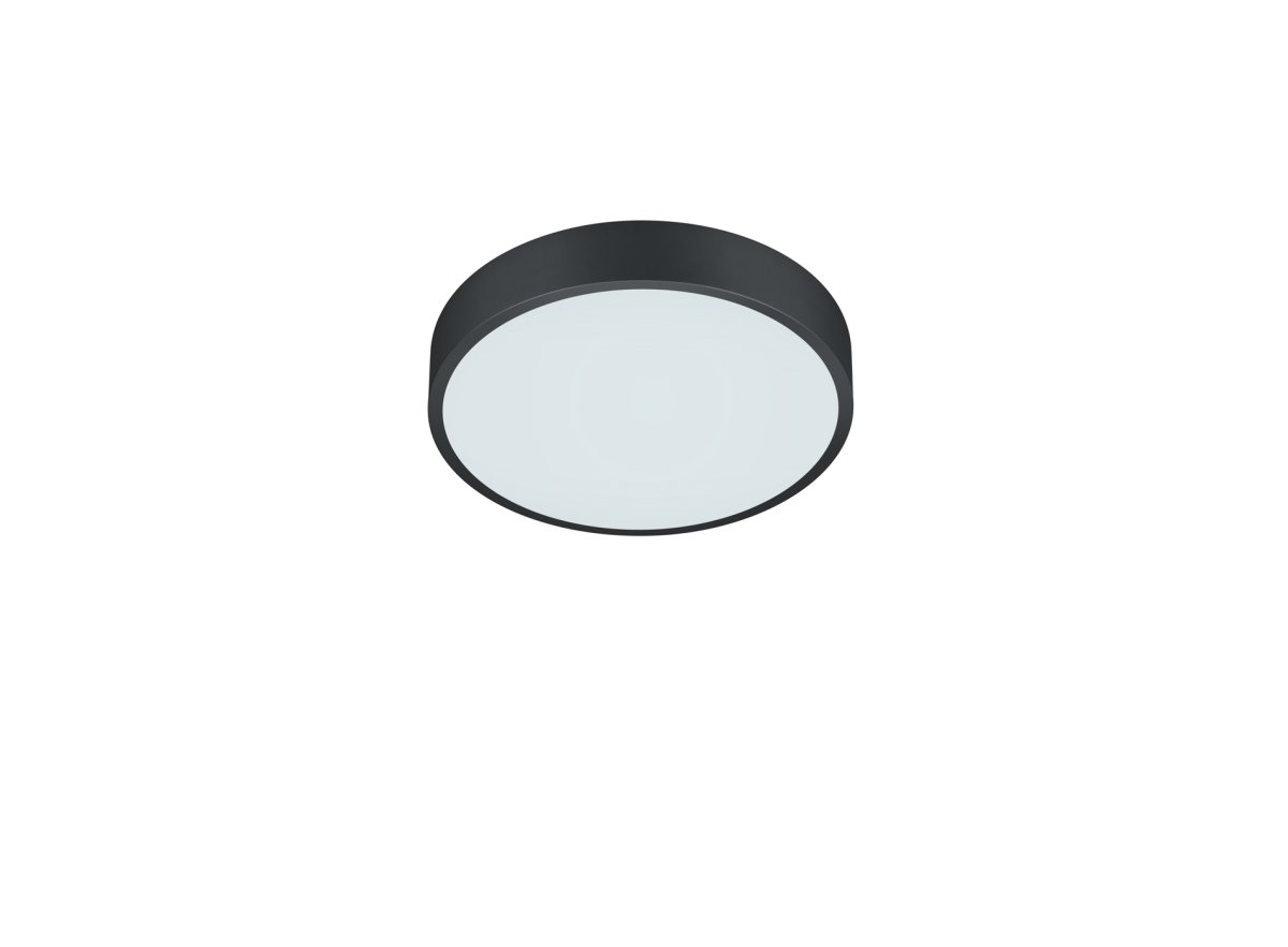 Waco Ø30 Negro plafón De Trio Lighting - 