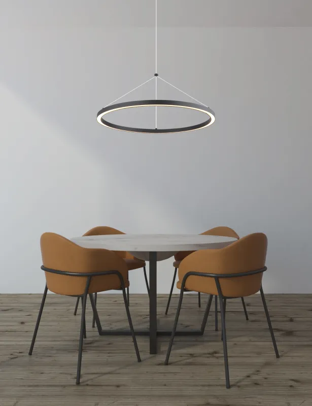 Grenvix Ø50 Negro Lámpas de techo De Globo Lighting - Grenvix &auml;r en unik och stilfull takpendel som utm&auml;rker sig med sin runda form och distinkta ringdesign.