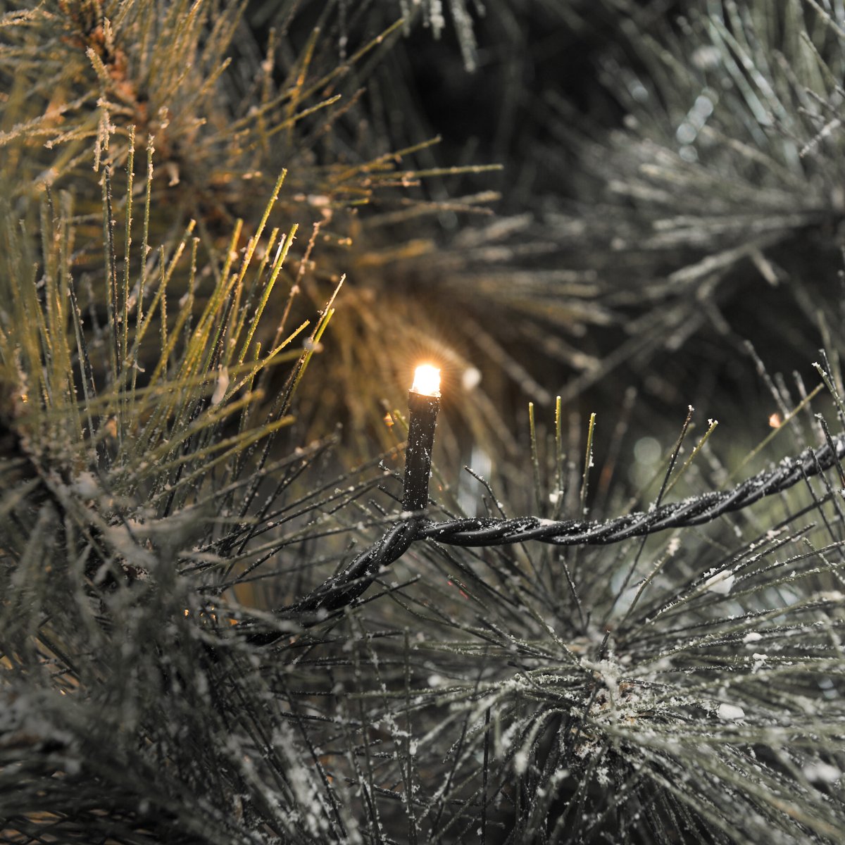 Guirnalda luminosa 100 LED ámbar 15m Verde De Konstsmide - Esta guirnalda de luces con 100 pequeños LED emite una luz cálida y acogedora con una temperatura de color de aproximadamente 2000 K.