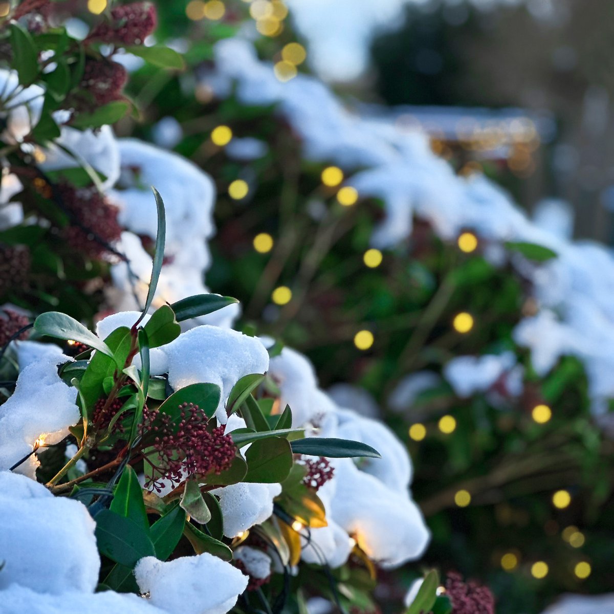 Net Verde oscuro De Lightson - La red tambi&eacute;n se puede colgar, por ejemplo, en una valla o en un seto de hoja perenne, de modo que pueda permanecer colgada todo el a&ntilde;o.