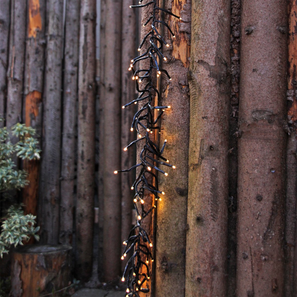 Bliss Negro De Lightson - Bliss se puede utilizar de forma beneficiosa para todo tipo de festividades y fiestas durante todo el año.