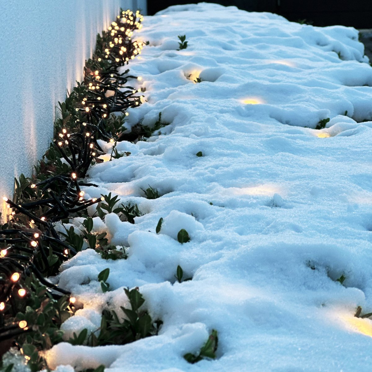 Bliss Negro De Lightson - Bliss se puede utilizar de forma beneficiosa para todo tipo de festividades y fiestas durante todo el año.