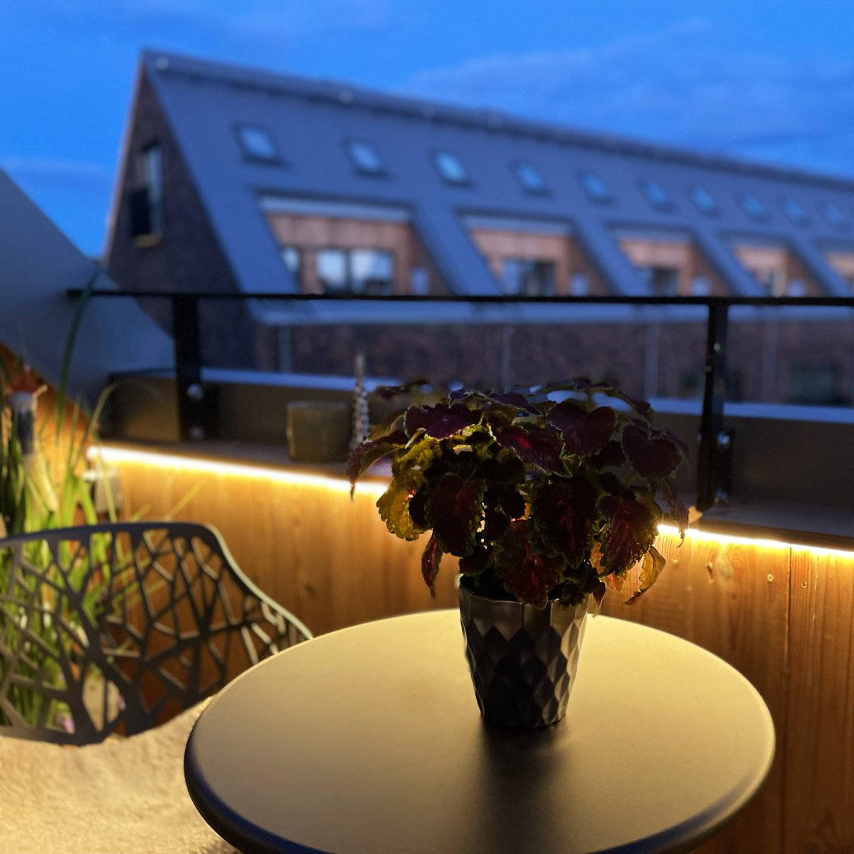 Strip (5m) Blanco De Lightson - La tira de luz flexible y adaptable (5m con cable de arranque de 3m) ofrece una luz blanca cálida homogénea, perfecta para zonas que a veces pueden resultar difíciles de iluminar y donde se quieren reforzar líneas en el jardín o en fachadas.