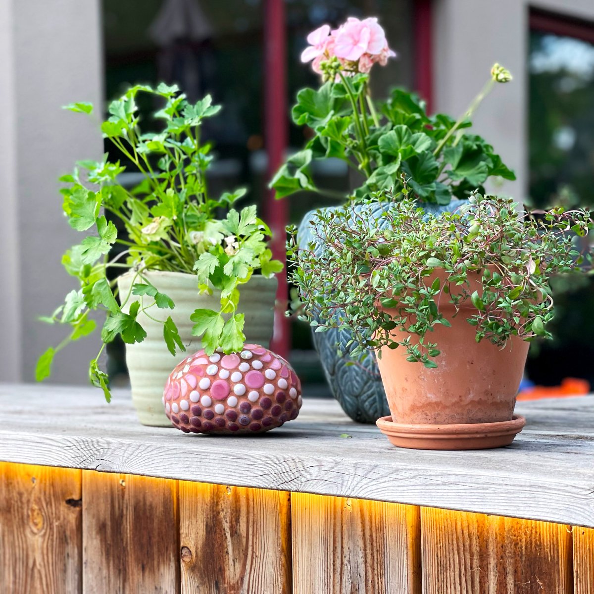 Strip (5m) Blanco De Lightson - La tira de luz flexible y adaptable (5m con cable de arranque de 3m) ofrece una luz blanca cálida homogénea, perfecta para zonas que a veces pueden resultar difíciles de iluminar y donde se quieren reforzar líneas en el jardín o en fachadas.