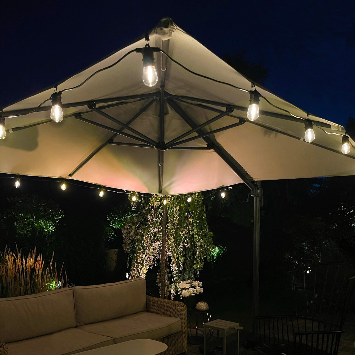 Cosy Negro De Lightson - El bucle tiene una longitud de 5 m, dispone de 10 fuentes de luz y se puede conectar f&aacute;cilmente a cualquiera de nuestros cables.