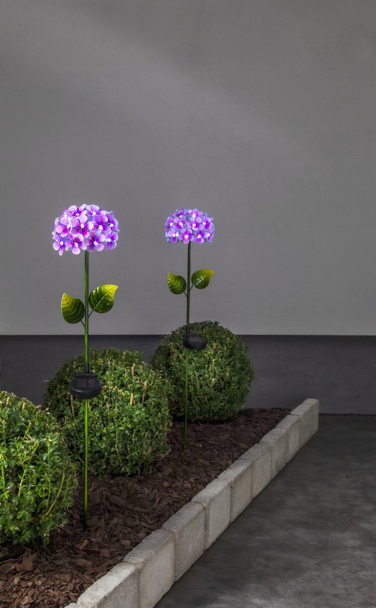 Hortensia Rosa lámpara solar De Star Trading - Peque&ntilde;as luces en forma de gota de roc&iacute;o ba&ntilde;an la flor con un brillo blanco y fr&iacute;o, creando un ambiente encantador al atardecer.