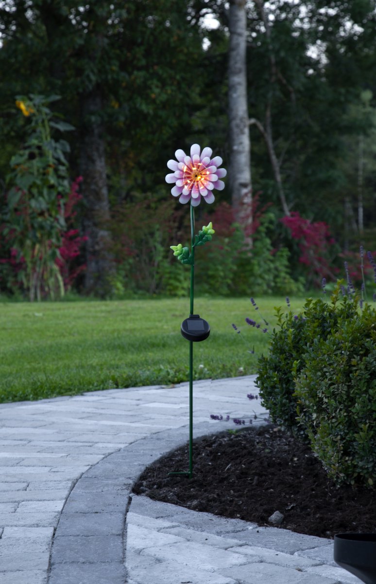 Daisy Rosa lámpara solar De Star Trading - El bastón solar Pink Daisy es un adorno de jardín con forma de flor.