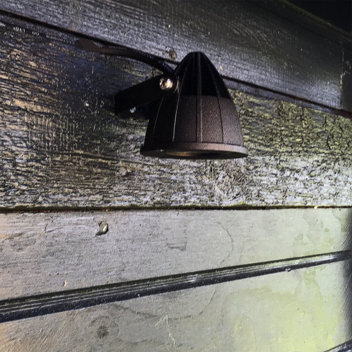 Luminus Negro De Lightson - Una l&aacute;mpara con una distribuci&oacute;n de luz estrecha, adecuada para &aacute;rboles en los que se desea resaltar el tronco o donde la luz debe llegar hasta la copa, por ejemplo pinos altos y abedules.