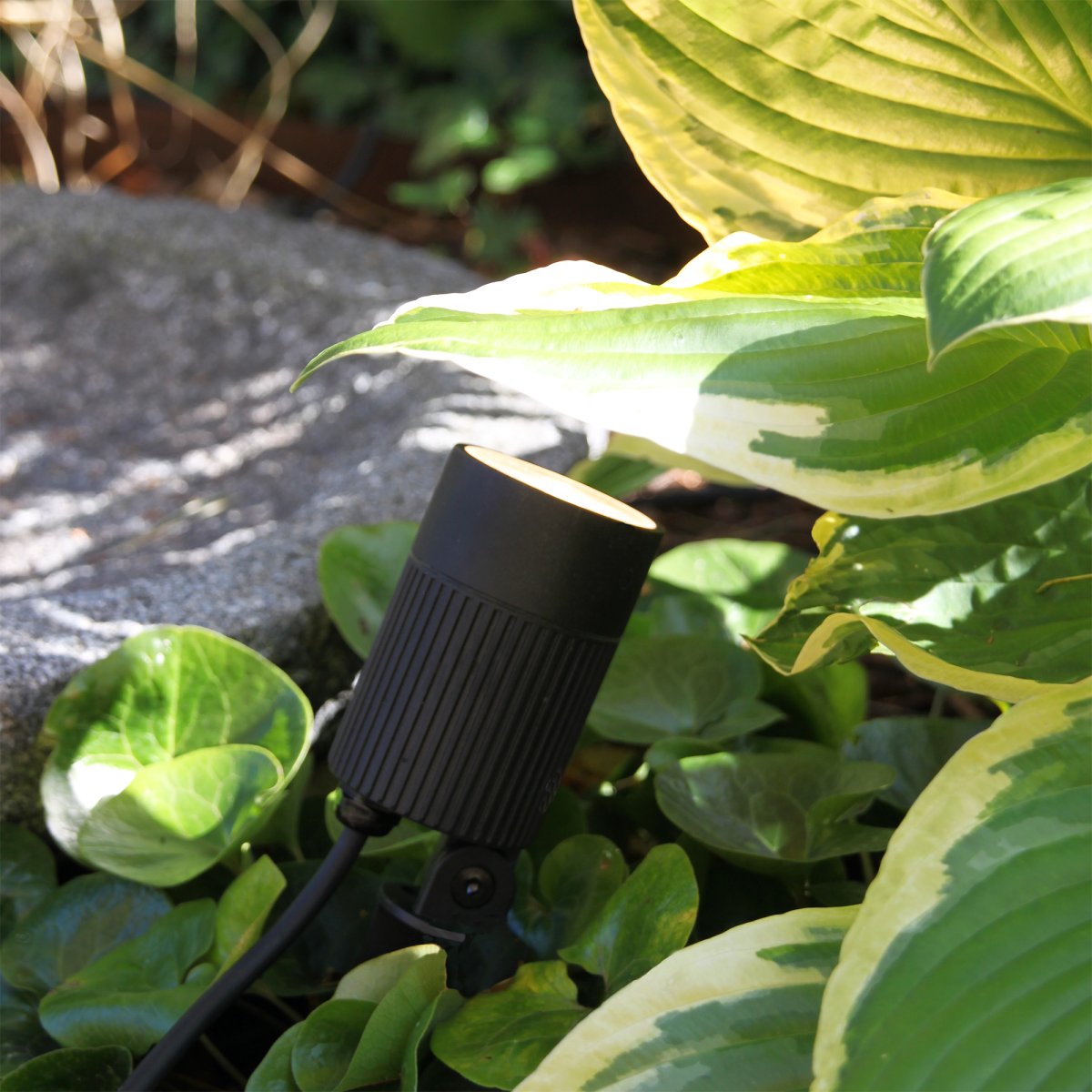 Medusa Negro De Lightson - Medusa es un potente foco de suelo con una amplia distribución de la luz, adecuado para árboles de tamaño mediano a grande.