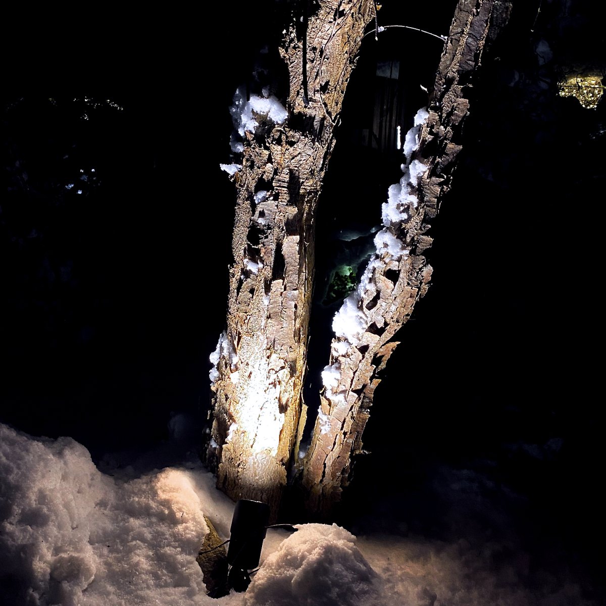 Medusa Negro De Lightson - Medusa es un potente foco de suelo con una amplia distribución de la luz, adecuado para árboles de tamaño mediano a grande.