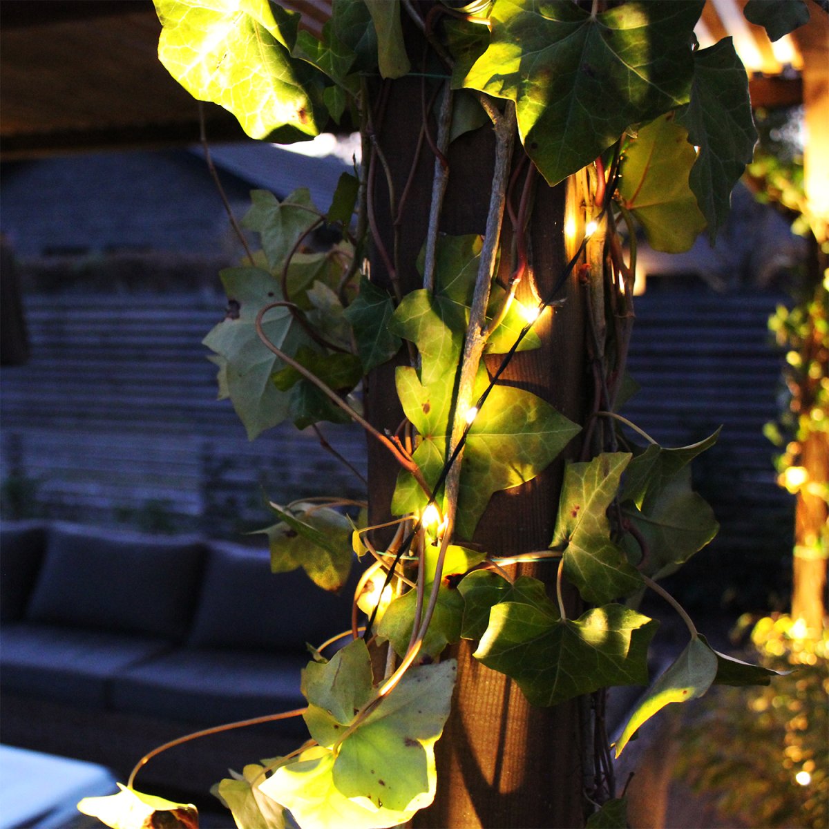 String Negro De Lightson - Una cadena de luz de noche con fuentes de luz m&aacute;s peque&ntilde;as que la hacen brillar maravillosamente.