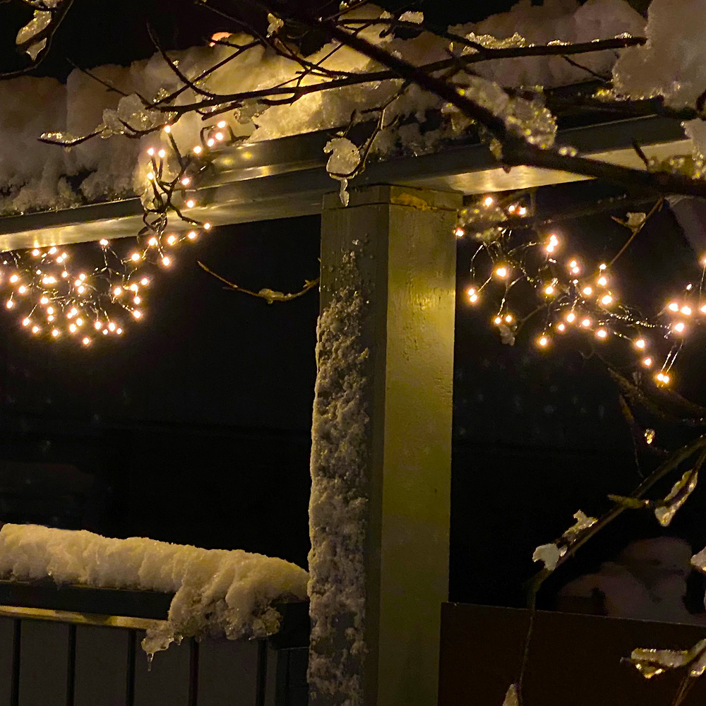 Bliss Negro De Lightson - Bliss se puede utilizar de forma beneficiosa para todo tipo de festividades y fiestas durante todo el año.