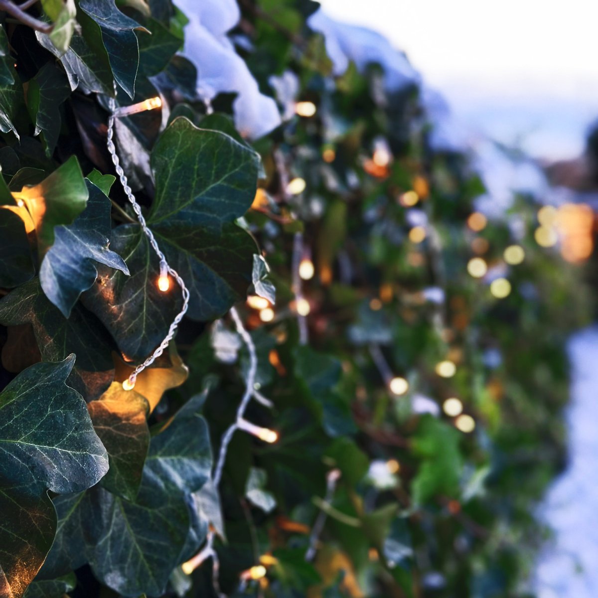 Ice Transparente De Lightson - Con una longitud total de 10 m (+3 m de cable de arranque), Ice es perfecto para colocar a la sombra/en el techo; esta valla, as&iacute; como a lo largo de vallas y muros.
