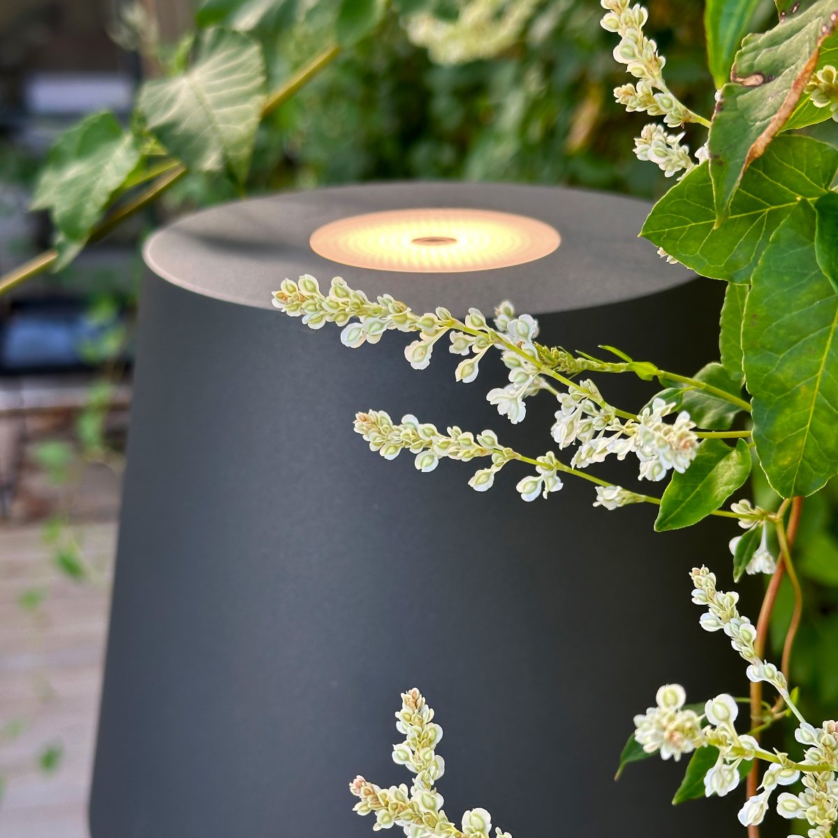 Sofy Gris oscuro De Lightson - Nota: Si su sistema de iluminaci&oacute;n incluye funciones de automatizaci&oacute;n, como un sensor de luz o controles inteligentes para el hogar, deber&aacute; encender Sofy manualmente mediante el interruptor de encendido/apagado de la propia l&aacute;mpara.
