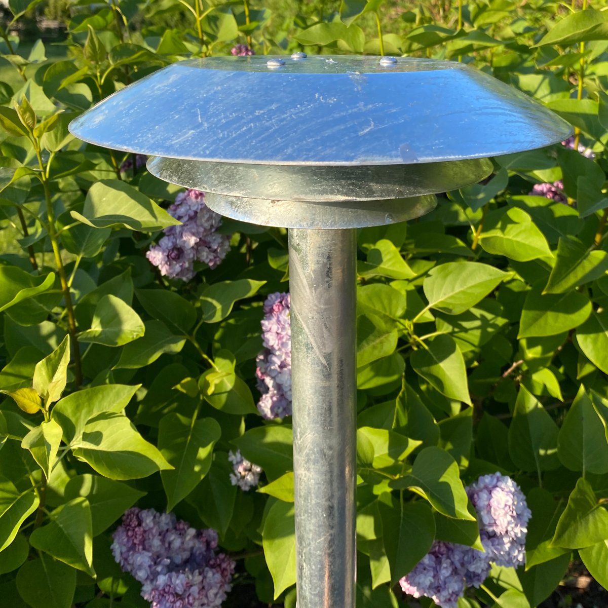 DL25 Galvanizado balizas De Dyberg Larsen - La superficie galvanizada lo hace especialmente robusto y resistente a la intemperie y al viento, lo que hace que el DL25 sea ideal para brindar seguridad y comodidad en aceras o en el jardín.